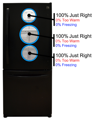 Fridge Temperature Image