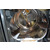 FI Interior Photo 1