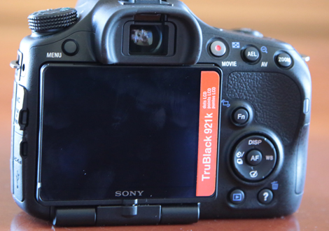 FI Viewfinder Photo