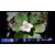 Internet Features 1 Photo