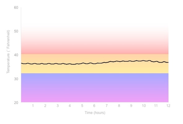 Fridge Temperature Graph