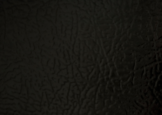 Fingerprints Photo