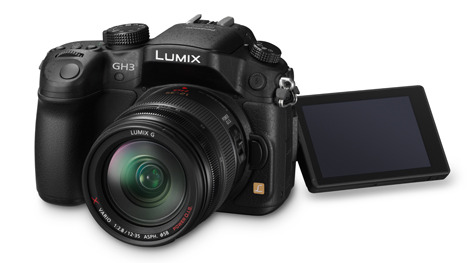 GH3_H_HS12035_slant_LCD_1_.jpg