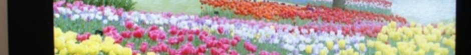 http://reviewed-production.s3.amazonaws.com/attachment/58df4faf4340fce01bd804e8bed3b4f8605c56fb/s940x110_Westinghouse_UHDTV.jpeg