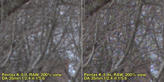 RAWComp5.jpg