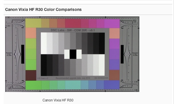 Canon Vixia HF R30 Color Comparisons.jpg