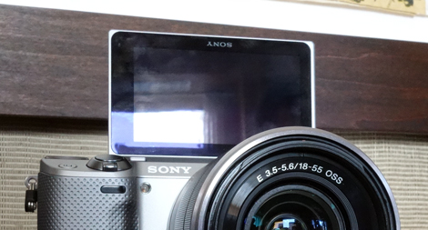 FI LCD Photo