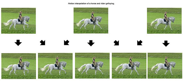 Motion-Interpolation-Chart.jpg
