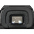 EVF.jpg