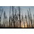 IMGP2040-XL.jpg