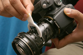 4D-light-side.jpg
