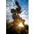 IMGP1473-X2.jpg