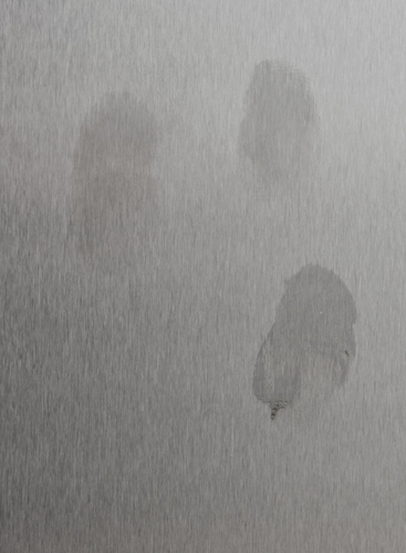 Fingerprints Photo