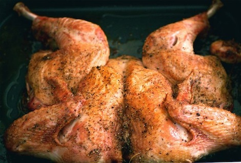 spatchcock_turkey_thebittenwordcom.jpg