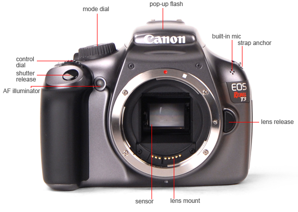 Front Tour Image