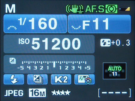 FI Manual Controls Photo