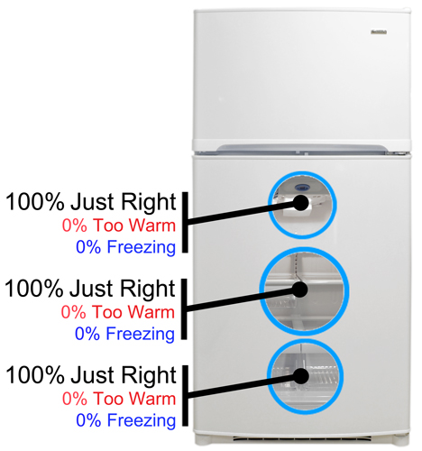 Fridge Temperature Image