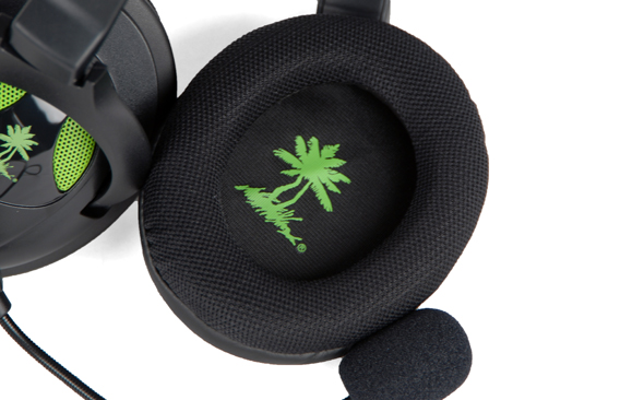 Speaker Image