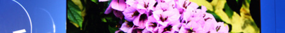 http://reviewed-production.s3.amazonaws.com/attachment/c61324e43c0ca3c57e87c5c81cdc2162c8359f28/s940x110_WT60.jpg