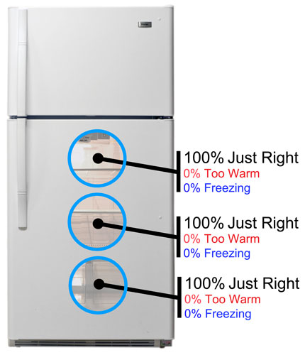 Fridge Temperature Image