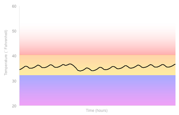 Fridge Temperature Graph