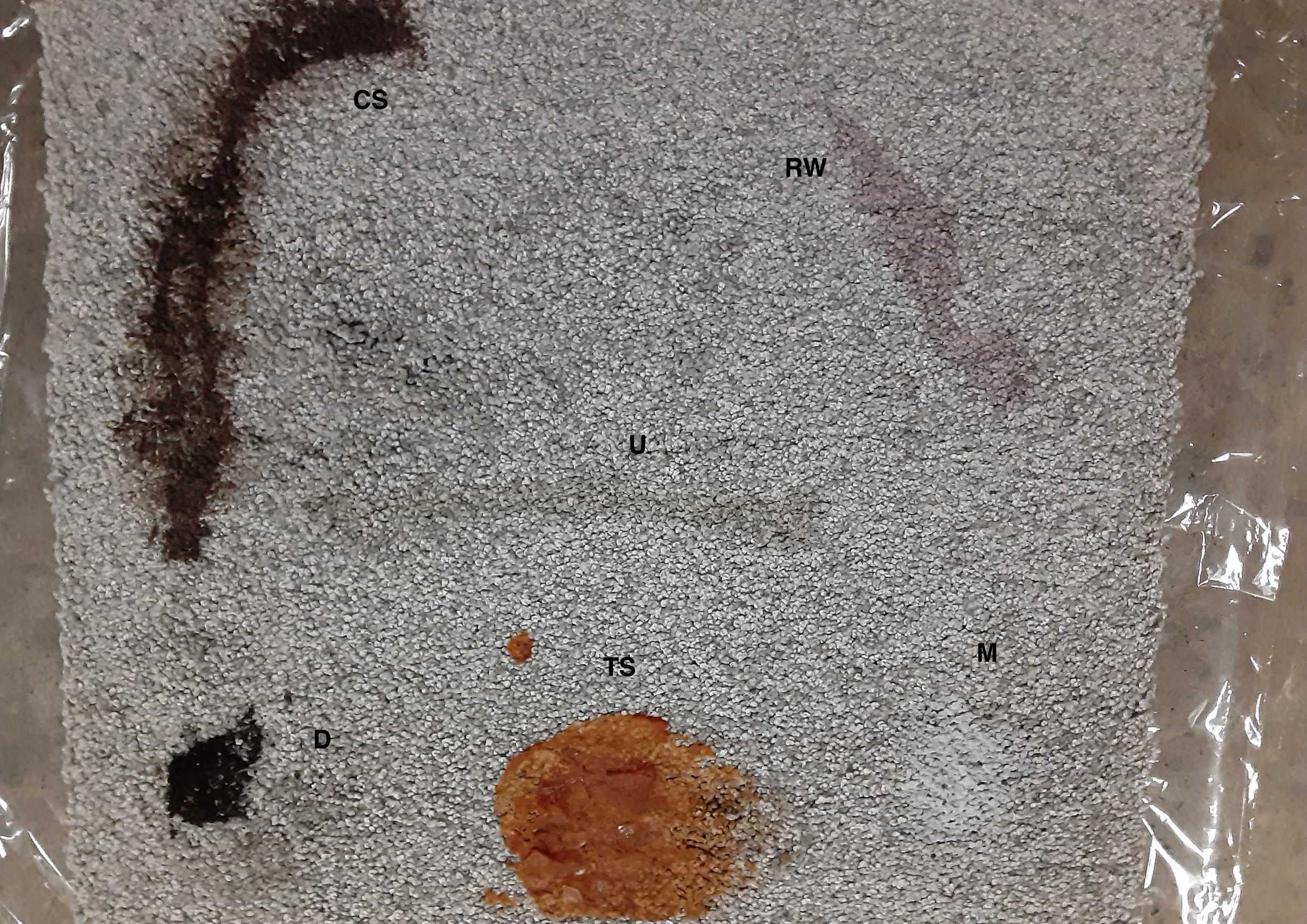 A test carpet with food stains.