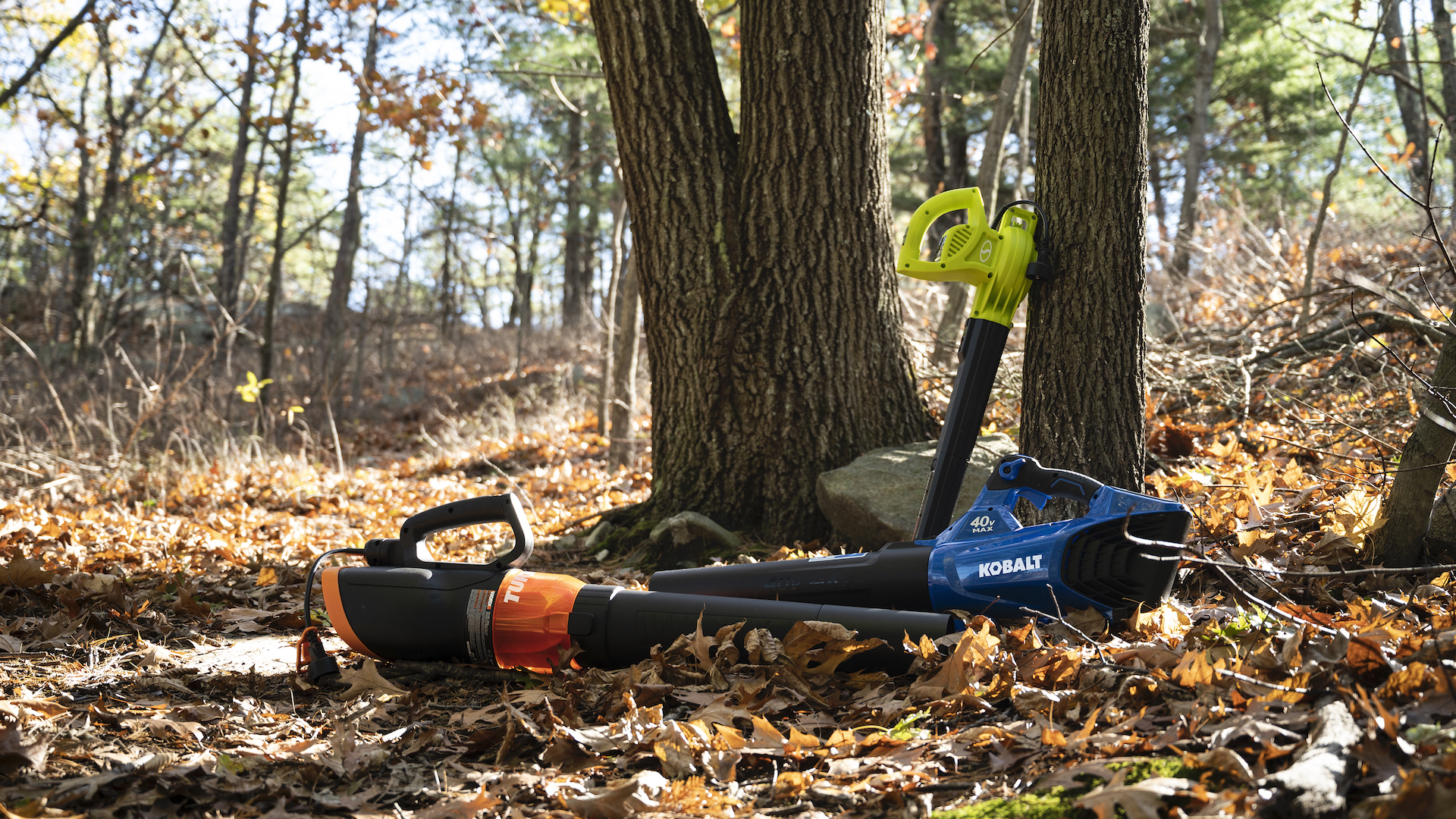 Three leaf blowers are on display leaning up a tree and laying on the forest floor.