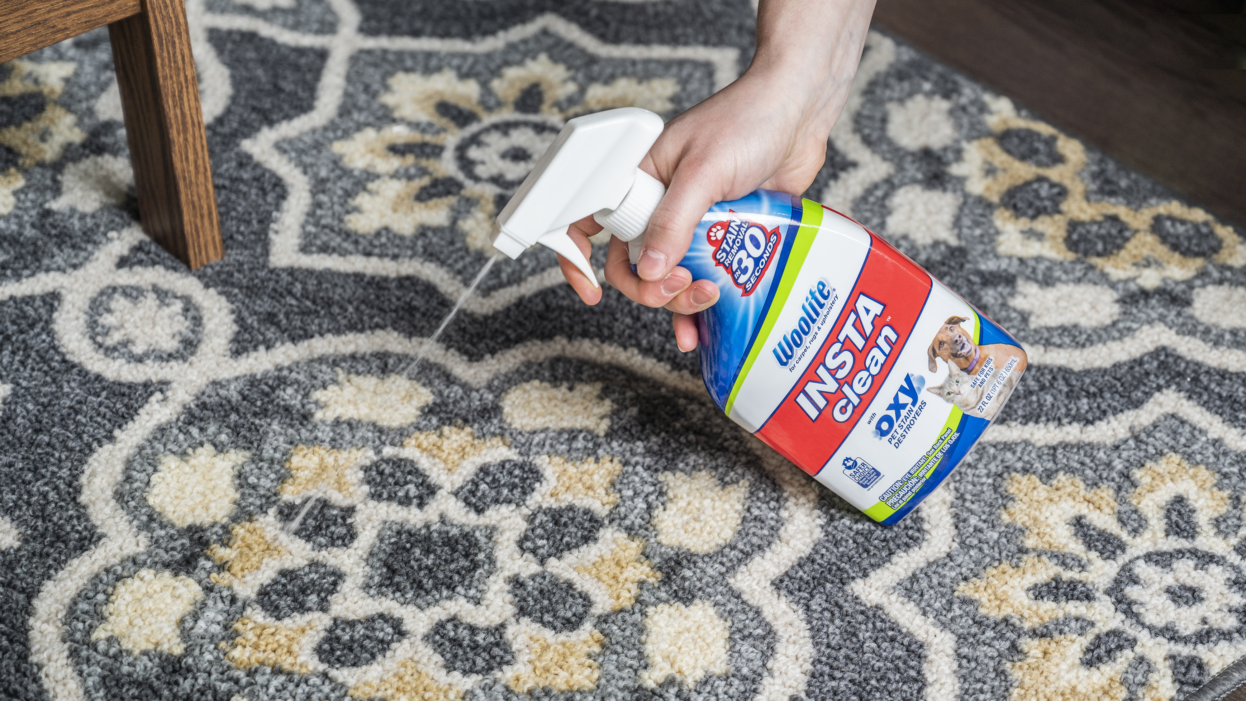 A person spraying Woolite InstaClean carpet stain remover onto a carpet.